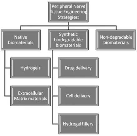 Figure 1.5: Biom aterial use strategies for PN I regeneration  [26]. Republished  with perm ission of IOP Publishing