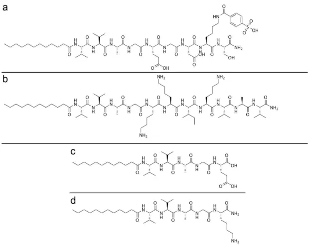 Figure 2.1 Self assem bling PA m olecules. C hem ical structures of synthesized  PA m olecules H M -PA (a), LN -PA (b), E-PA (c), and K -PA (d)