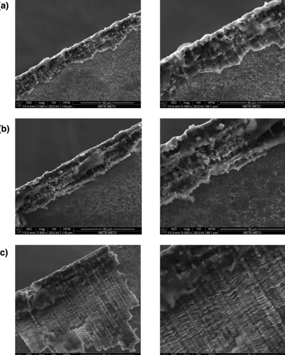 Fig. 4. SEM images of the cutting edges after machining tests: a) 0.2 ␮m, b) 0.4 ␮m, c) 0.6 ␮m.