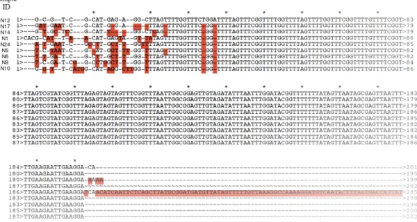 Figure 4.4: Sequence alignments of distal TERT promoter site in skin samples. Aligned sequences  are from N12, N17, N14, N1, N24, N5, N6, N9 and N10 respectively