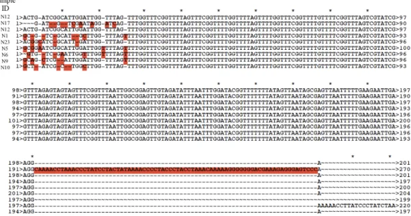 Figure  4.6:  Sequence  alignments  of  distal  TERT  promoter  site  in  muscle  samples