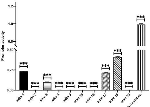 Figure 4.10: Normalized promoter activity in SW1088 cell line. Y axis shows the relative promoter  activity and X axis lists the mutant and wild type TERT distal promoter