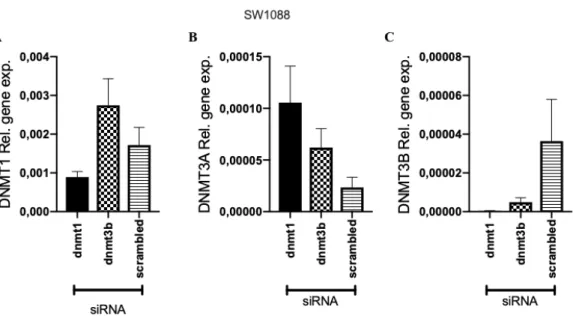 Figure 4.16: Expression of DNA Methyltransferase in SW1088 cell line 48 hour post treatment