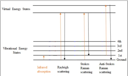 Figure 10. Energy-level diagram indicating the states in Raman spectrum. 