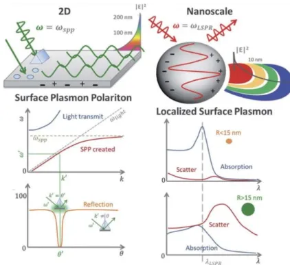 Figure 1.2: A comparison of Surface Plasmon Polariton and Localized Surface Plasmon Resonance [25].