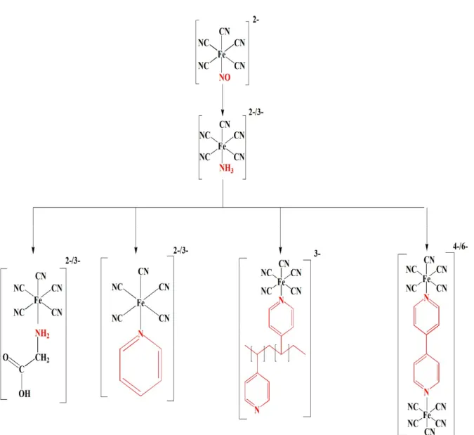 Figure 1. 6. The structure of pentacyanoferrate complexes with different N-bound ligands 
