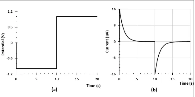 Figure 1. 2: (a) Potential steps applied in chronoamperometry experiments. (b) Current response in a  typical chronoamperometry experiment
