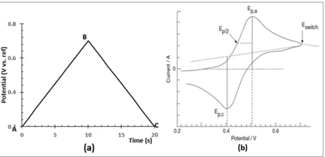 Figure 1. 3: a) Applied potential in a cyclic voltammetric experiment; A, initial potential where there  is usually no electrode reaction; B, voltage polarity switching point; C, potential at the end of the  cycle