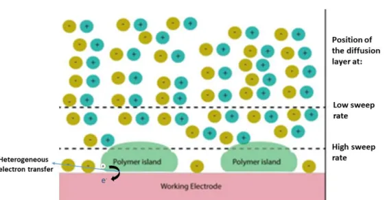 Figure 1. 5: The effect of sweep rate on the position of the diffusion layer. Here, the electroactive  species are conducting polymer molecules adsorbed on the surface of the working electrode