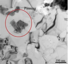 Fig. 6. TEM micrograph showing effect pinning of the particles.