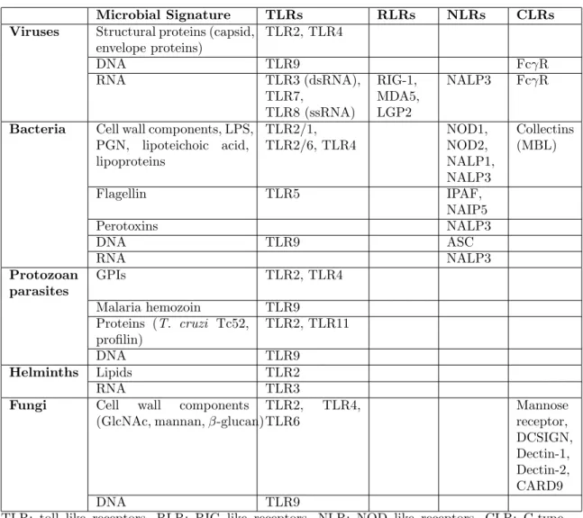 Table 1.1: Pattern recognition receptors and their ligands. Adapted from Ishii et.