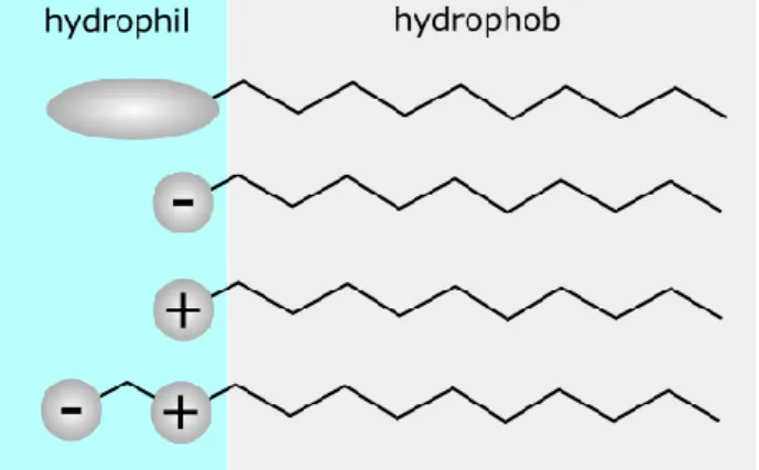 Figure  2.4.  Schematic  representation  of  non-ionic,  anionic,  cationic  and  zwitterionic surfactants from top to bottom
