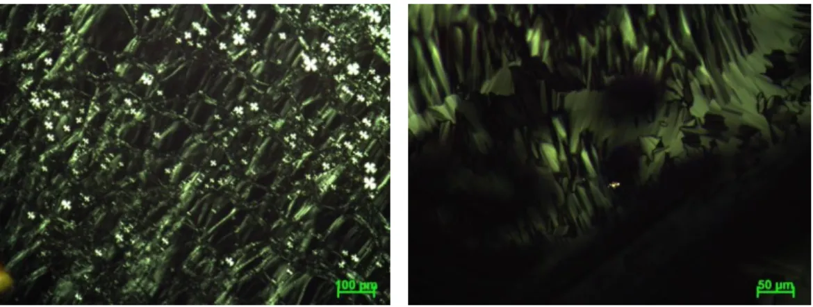 Figure 4.2. The POM images of LiCl-oligo-water systems of 3-1-3 ratios covered  with glass (left) and open to air (right) 