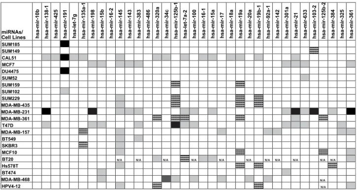 Fig. 1. Fold number changes for the 35 microRNA genes mapping to selected genomic gain/loss regions in breast cancers