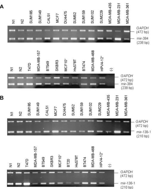 Fig. 2. Genomic gain or loss of microRNA genes detected by semi-quantitative duplex PCR