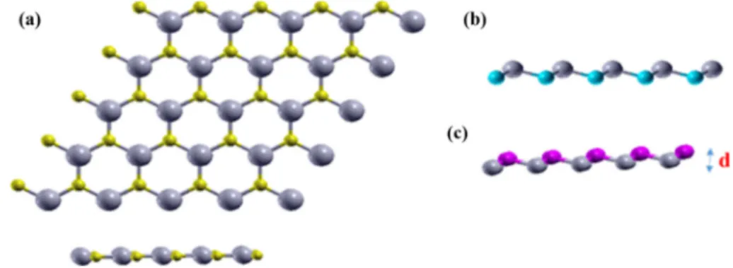 Fig. 1. (a) Top and side view of 2D SnC structure, and side view of (b) SnSi and (c) SnGe structures.