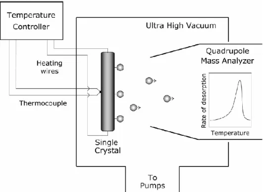 Figure 5: Experimental Setup for TPD Experiments. Copyright Wiley-VCH Verlag  GmbH &amp; Co.[91]