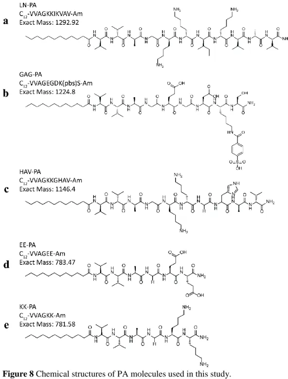 Figure 8 Chemical structures of PA molecules used in this study. 