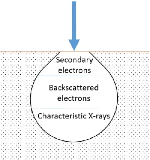 Figure  2.2  Regions  where  signals  are  originated  in  scanning  electron  microscopy