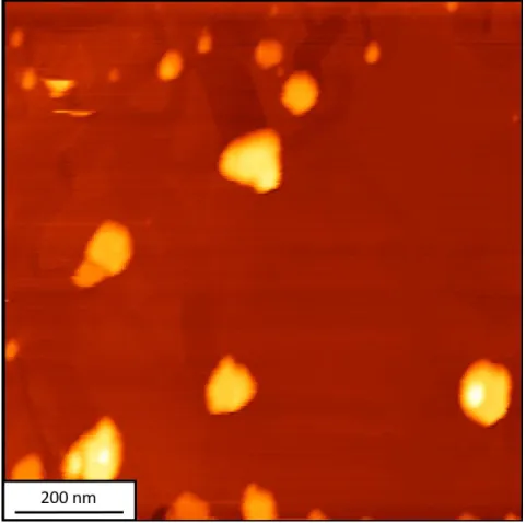 Figure  2.10  Contact  mode  AFM  image  of  platinum  nanoparticles  deposited  on  graphite