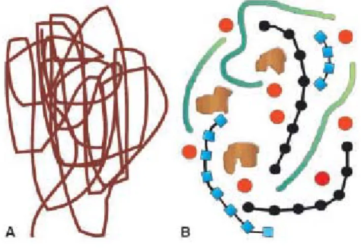 Fig. 1.6: A Depiction of the traditional concept of humic substances as randomly  coiled macromolecules