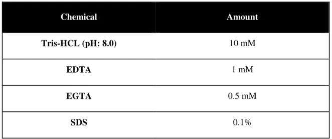 Table 2 Content of RIPA Lysis Buffer 