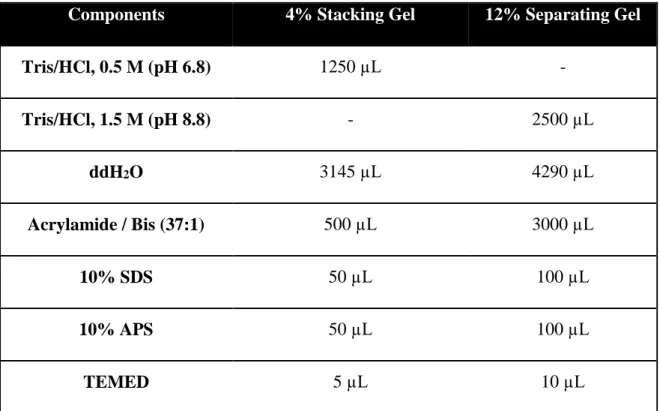 Table 3 Contents of Stacking and Separating Acrylamide Gels 