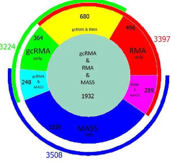 Figure 9. Distribution of intersection of probe sets generated from RMA, gcRMA, and MAS5  preprocessed data