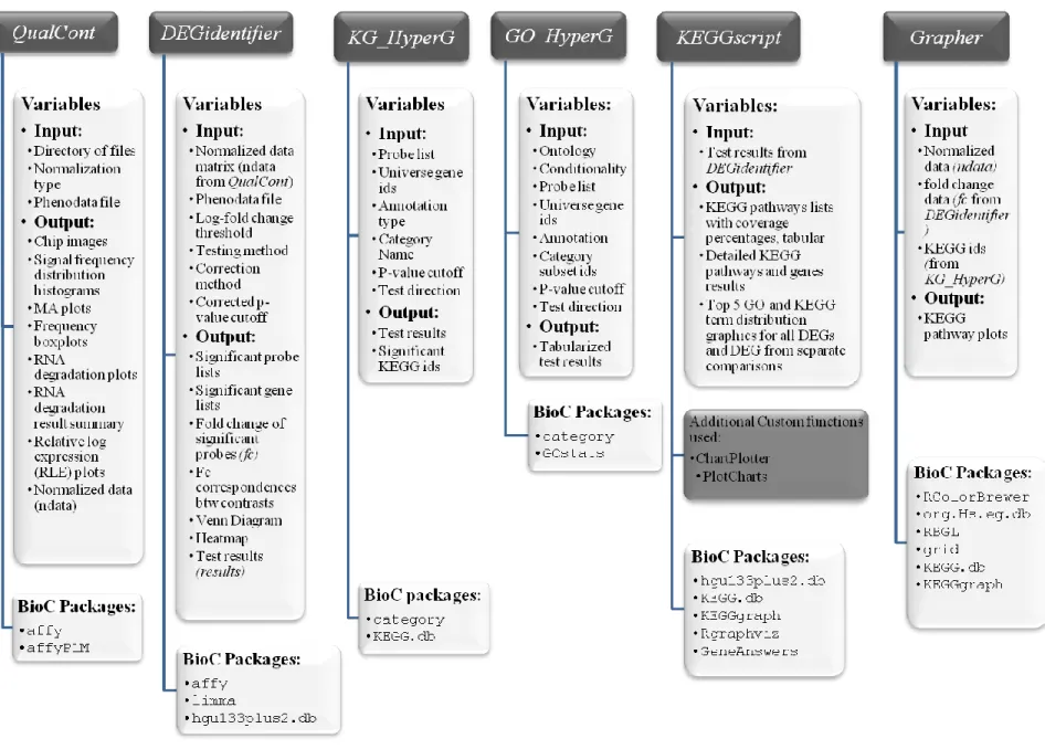 Figure 4: Detailed schematic view of routine components. Input values and output results for each function as well as used BioConductor packages are given
