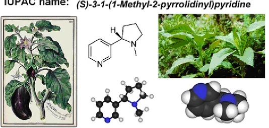 Figure 1.2: IUPAC name and chemical structure of nicotine; tobacco plants images (left); 