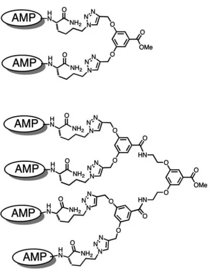 Figure 9 Examples for conjugation of antimicrobial reagents into multivalent structures  Edited from Chamorro et al