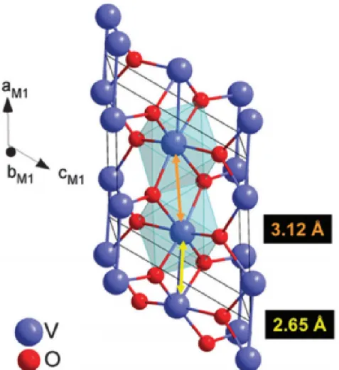 Figure 2.4: Crystal structure of the monoclinic M1 phase in VO 2 . The arrows are representation of the variation in V-V distances