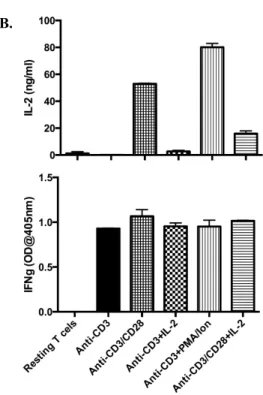 Figure 3.2: The activation and proliferation of T cells were analyzed by comparing different  conditions  (A)  Pan  T  cells  that  were  stained  with  CFSE  were  incubated  for  3  days  and  their  CFSE  signals  were  measured  by  flow  cytometry