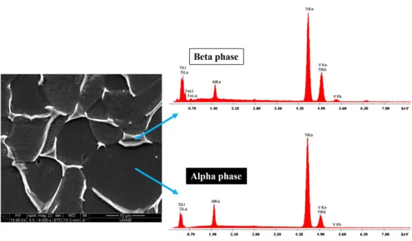 Figure 2.13: Spot EDX spectra over α and β phases.