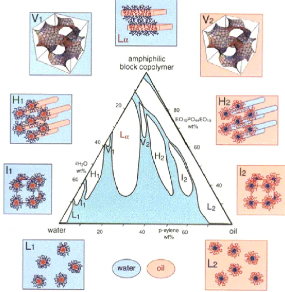 Figure 1.7: Nine different phases in a ternary surfactant:water:oil system. [4] 