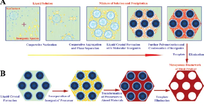 Figure 1.11:Schematical representation of the cooperative self- assembly and true  liquid crystalline templating[21]