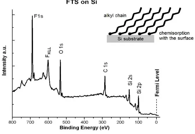 Figure  5.  An  example  of  a  typical  XPS  spectrum  of  fluorinated  organosilane,  FTS,  on  a  Si  substrate