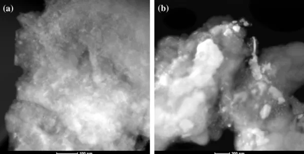 Fig. 12 shows two HAADF images of samples 5-48 and 5-96. The element with lower atomic number (iron) can be identiﬁed by brighter regions