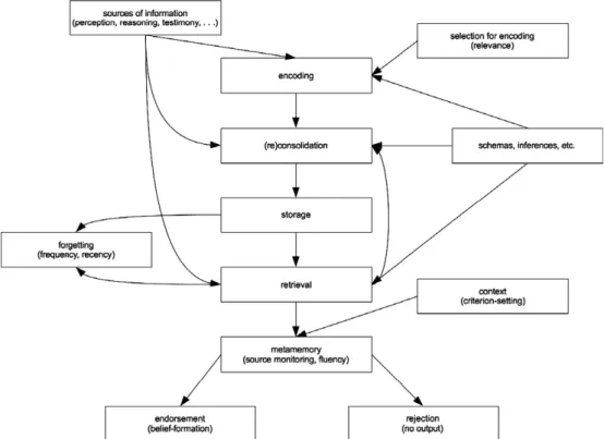 Fig. 2. A more realistic picture of memory: encoding is determined by the relevance of the information to the agent; non-endorsed records are stored.
