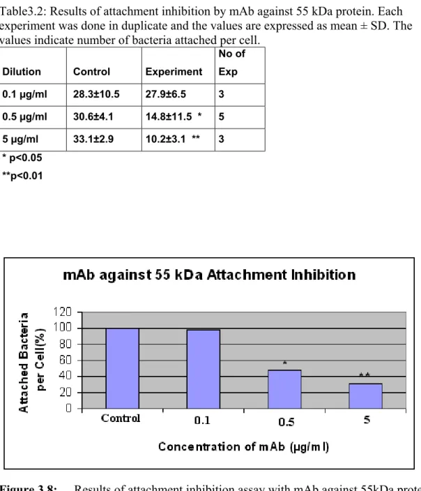 Figure 3.8:  Results of attachment inhibition assay with mAb against 55kDa protein. Each experim attachment compared to the control, respectively
