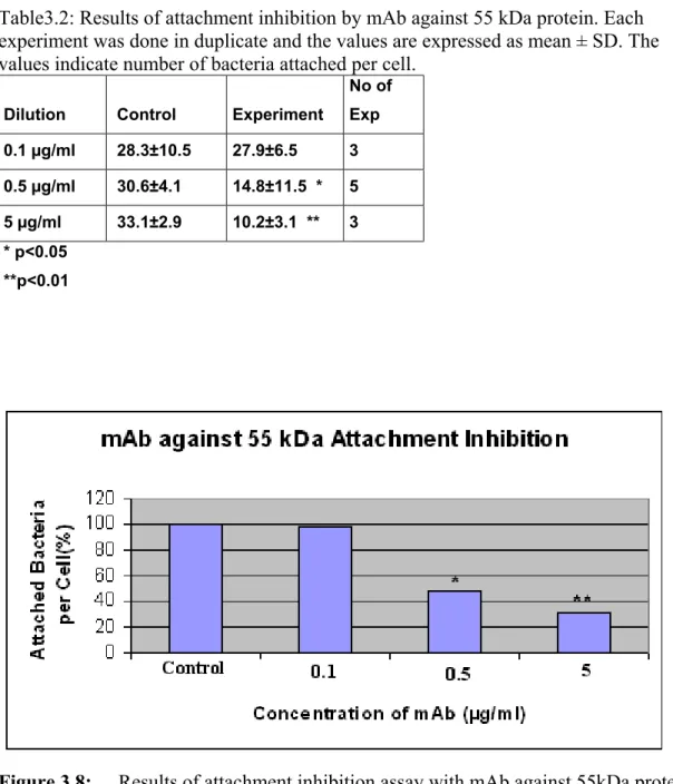 Figure 3.8:  Results of attachment inhibition assay with mAb against 55kDa protein. Each experim attachment compared to the control, respectively