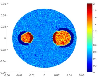 Figure 1.1: std-MREPT Conductivity Reconstruction.