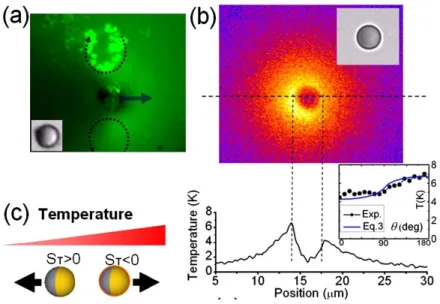 Figure 2.7: Experimental pictures taken from Jiang’s paper are showing a 3µm Janus particle immersed in water with 40nm fluorescent tracers