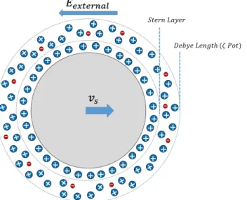Figure 2.10: A sketch pointing the places of the ζ potential, screening length/Debye length and stern layer.