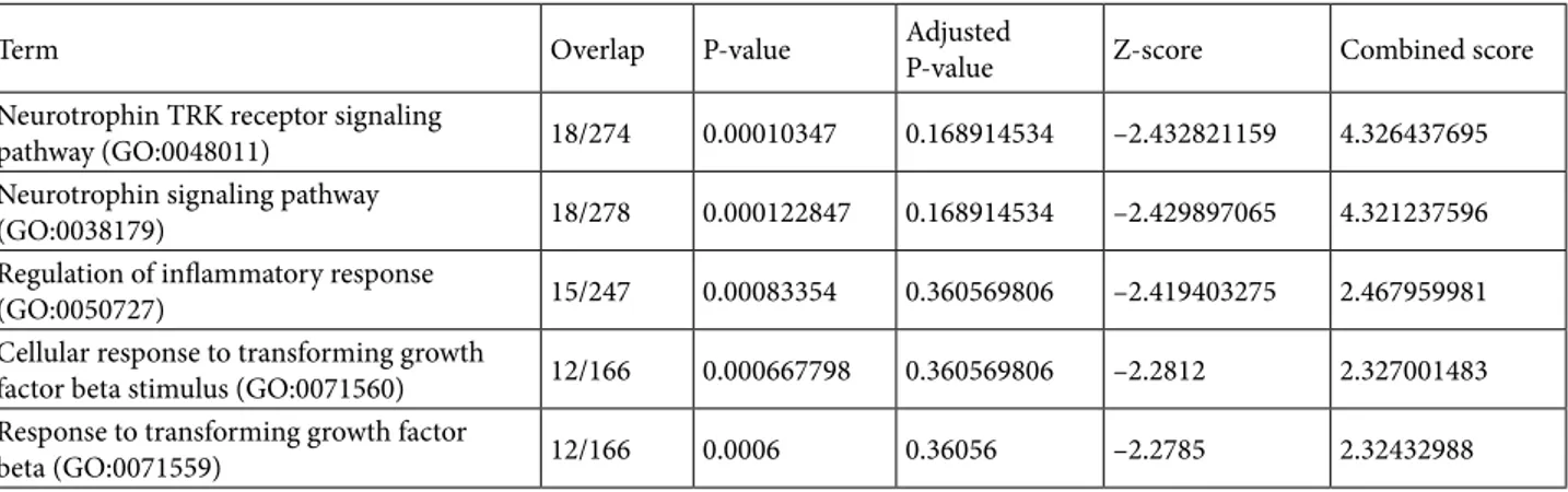 Table 3. GO Biological Process enrichment results for the nucleus of the BrainSpan gene coexpression network