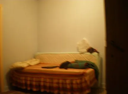 Figure 6. Sofa 
