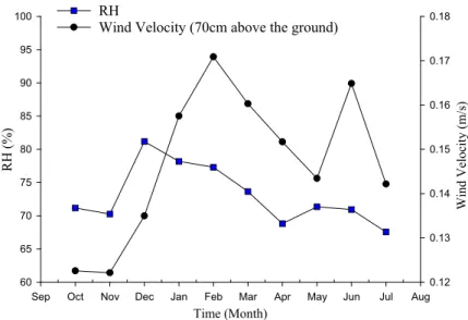 Fig. 12. Relative humidity (RH) and wind velocity variations (15 cm above the solar pond surface) during the experimental campain.