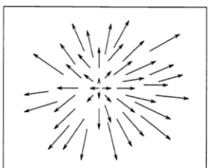 Figure 1: Motion vectors of Ideal Zoom