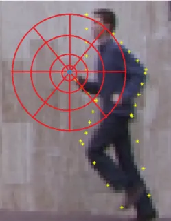 Figure 3.2: This figure demonstrates the shape context calculation process. In shape context, a circular grid is positioned over the sample points of an image and a histogram SC with size r × u is generated for each point where r is the number of radial bi
