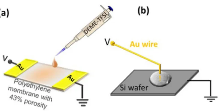 FIG. 2. (a) Schematics of the experimental setup and XP survey spectrum of the PEG droplet in the scanning mode with higher resolution of the C1s and O1s regions.